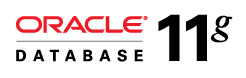 oracle_db11g_clr